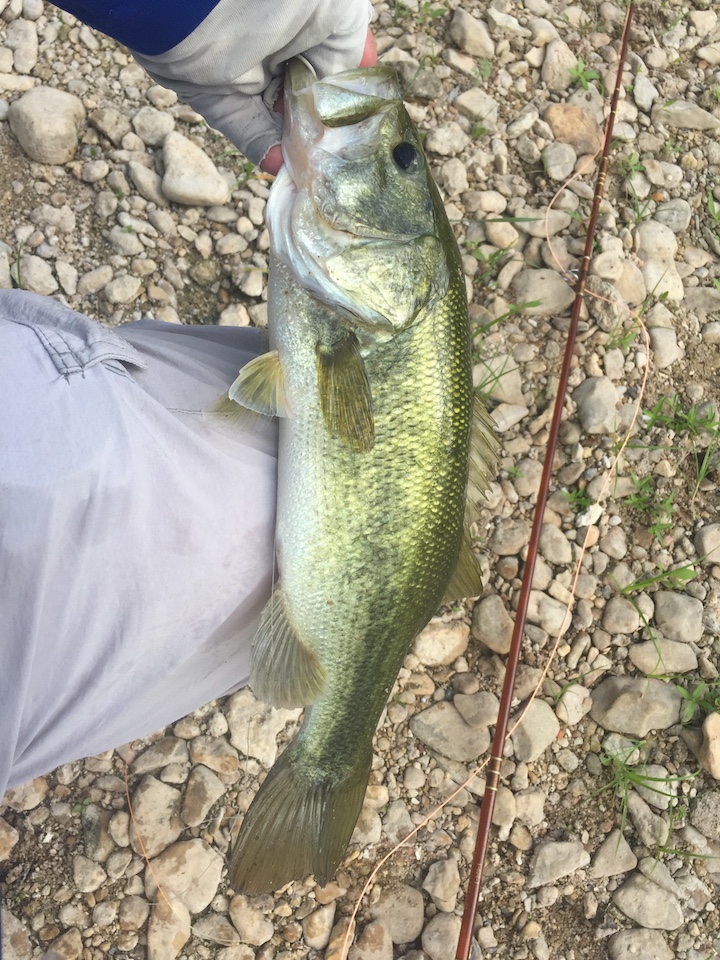 Paluxy River outing draws a crowd Fort Worth Fly Fishers