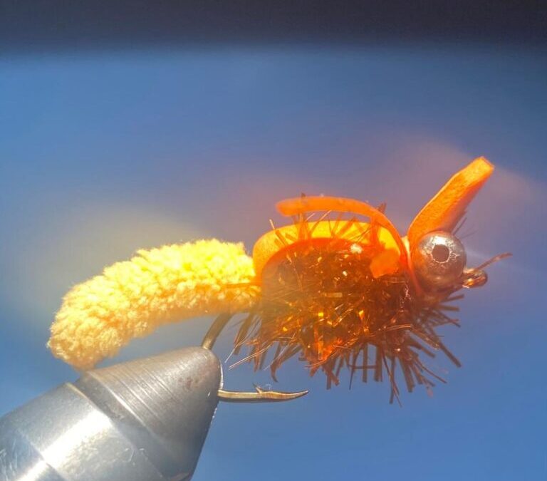 Iron Fly Tournament, May 24